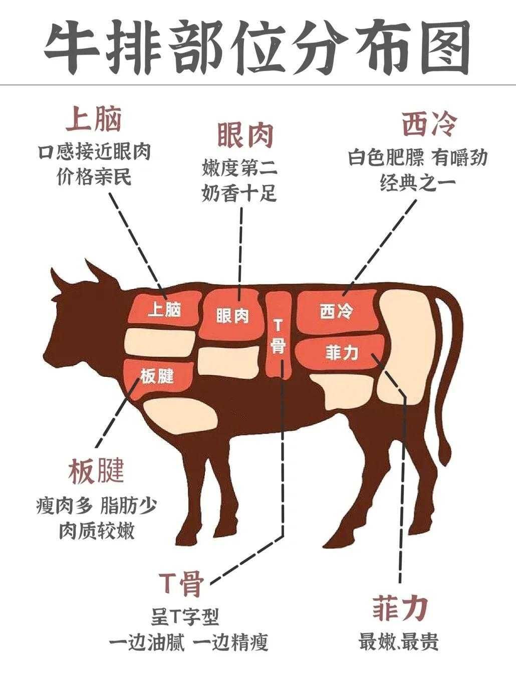 牛排的做法大全，口感丰富！（不同熟度的牛排口感、特别调味品推荐）