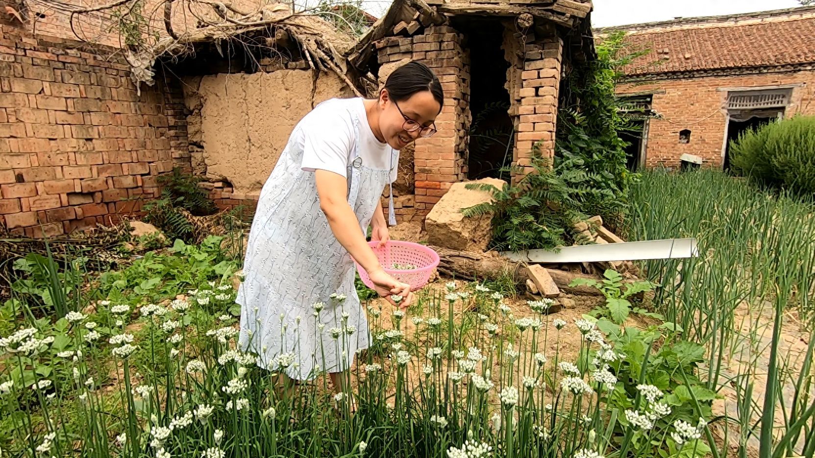 韭菜花炒鸡蛋的多种做法，口感鲜美营养丰富