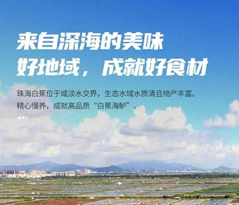 海鲈鱼的做法大全，健康美味两不误：汇总各式海鲈鱼的烹饪方式和食谱推荐