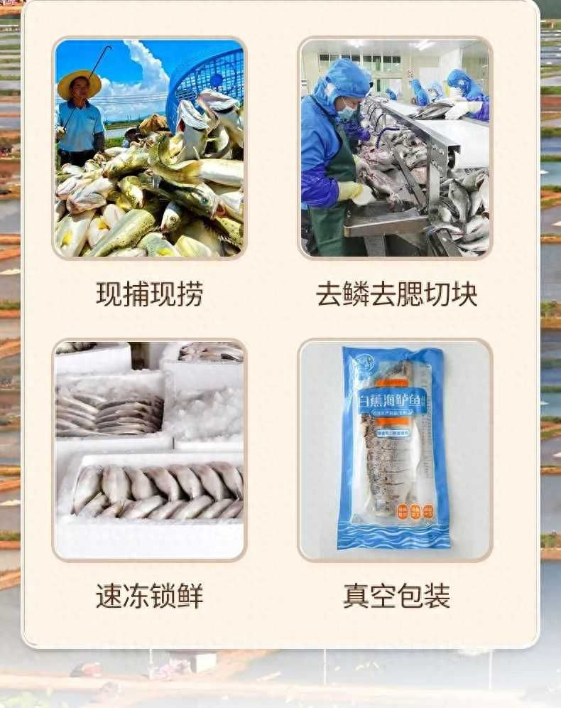 海鲈鱼的做法大全，健康美味两不误：汇总各式海鲈鱼的烹饪方式和食谱推荐