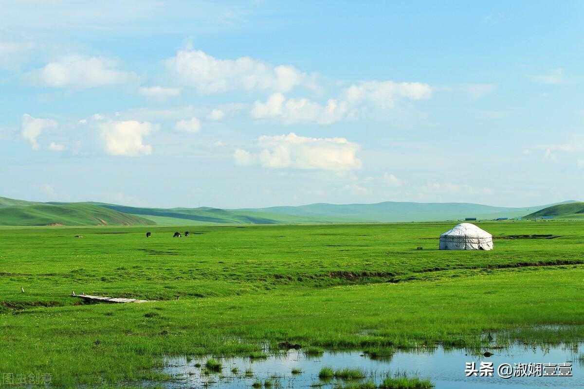 手抓饭