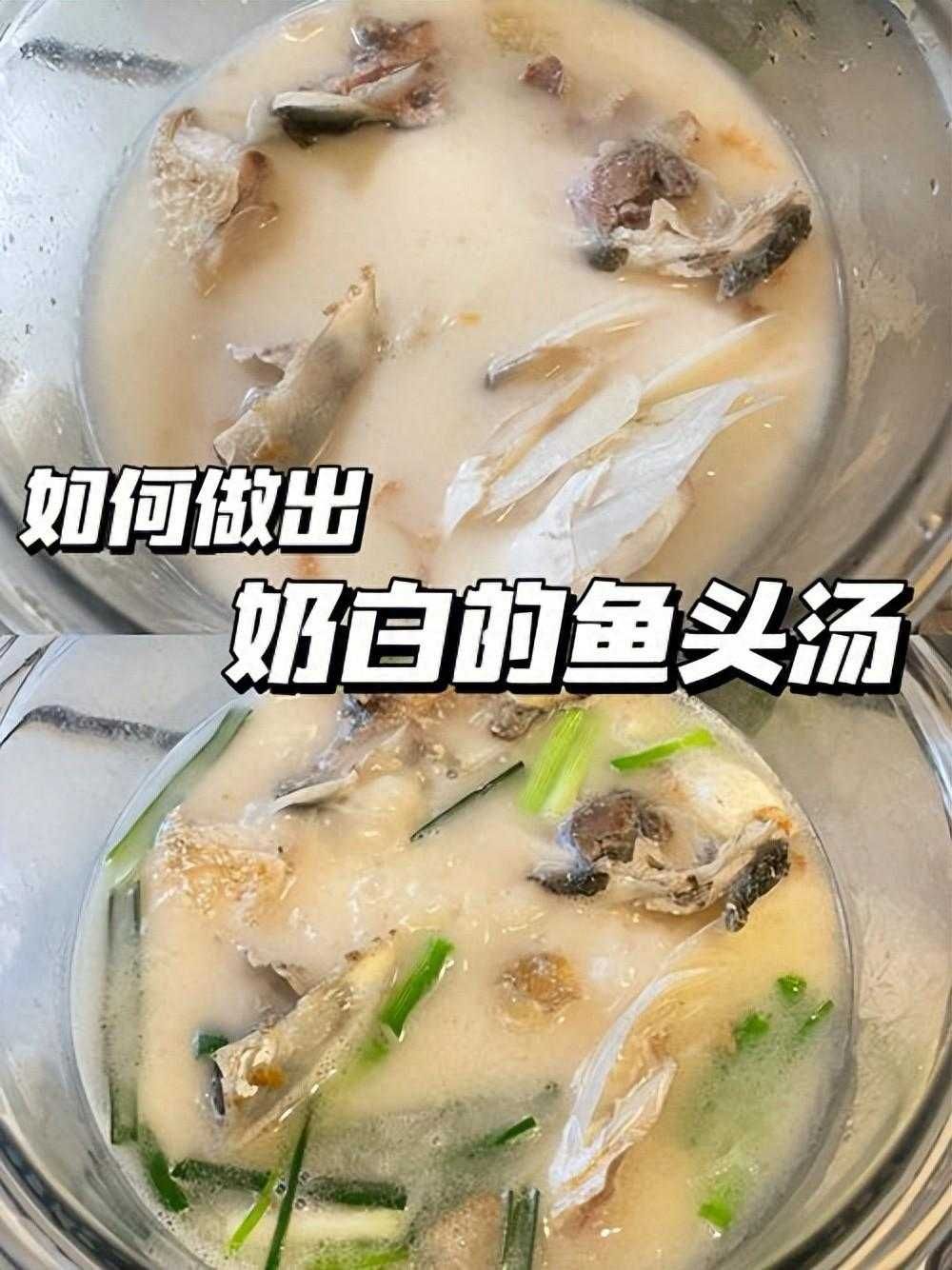 鱼头汤