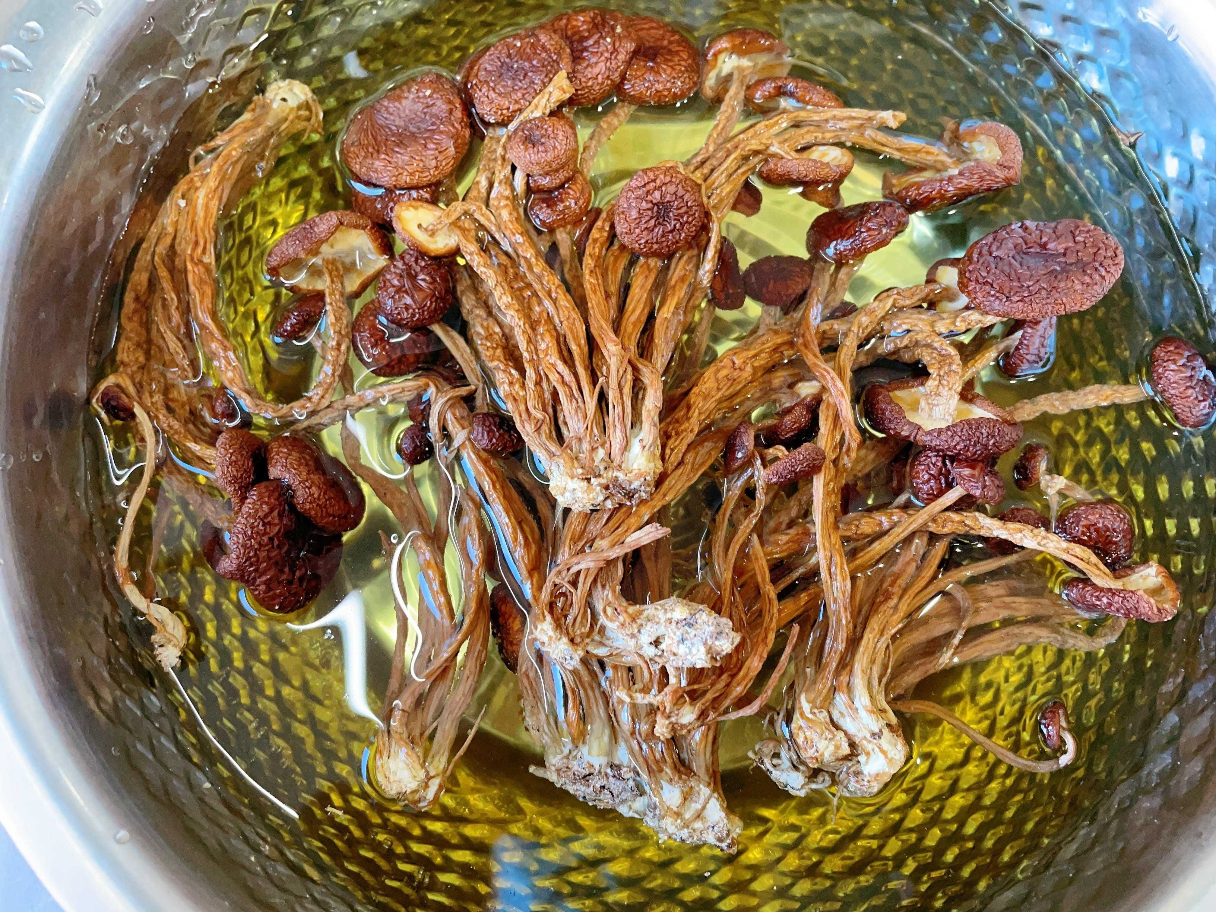 茶树菇炖鸡